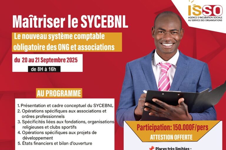 Maîtriser le SYCEBNL